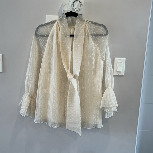 Zara Back Tie Dotted Chiffon Blouse Cream - Picture 5 of 11